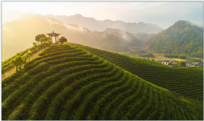 山岳巅品牌故事